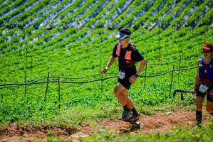 BIB: 
                            <button type="button" onclick="openModal(19164216)" class="btn btn-primary btn-sm float-right btn-popup" data-toggle="modal" data-target=".modal-high-quality">
                        <i class="fas fa-shopping-cart"></i> Add to Cart
                    </button>
                                            <button type="button" onclick="isThisMe(19164216, true)" class="btn btn-success btn-sm float-right btn-popup btn-isme hidden" data-toggle="tooltip" data-placement="bottom" title="นี่คือรูปของคุณใช่ไหม คลิกที่นี่เพื่อเอาเข้าอัลบั้ม">
                        <i class="fas fa-plus"></i> Add to album
                    </button>
                    <button type="button" onclick="isThisMe(19164216, false)" class="btn btn-warning btn-sm float-right btn-popup btn-isnotme hidden">
                        <i class="fas fa-ban"></i> Remove from album
                    </button>